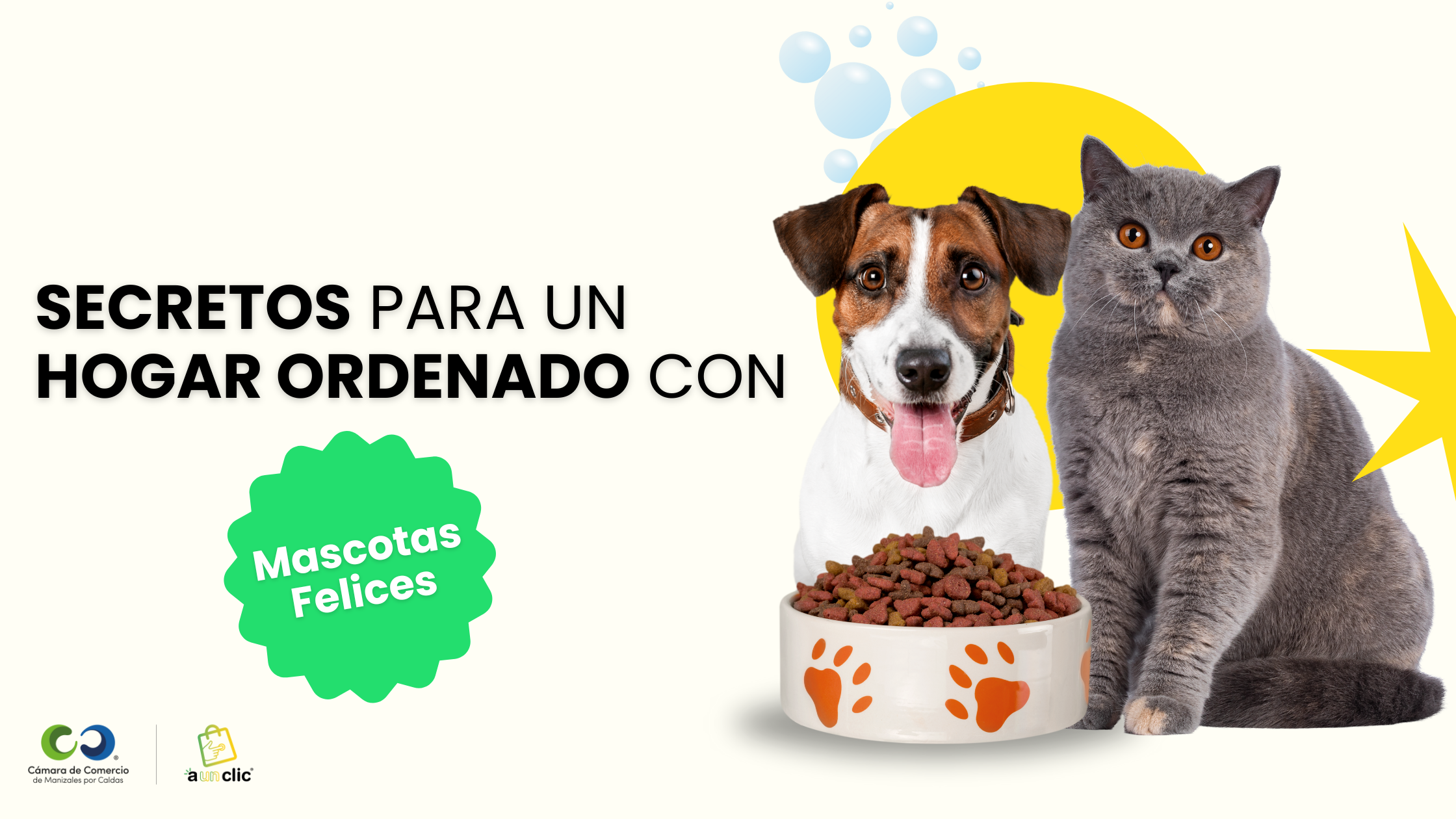 SECRETOS PARA UN HOGAR ORDENADO CON MASCOTAS FELICES